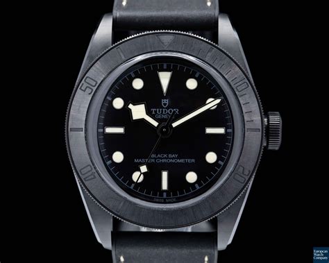 79210 tudor